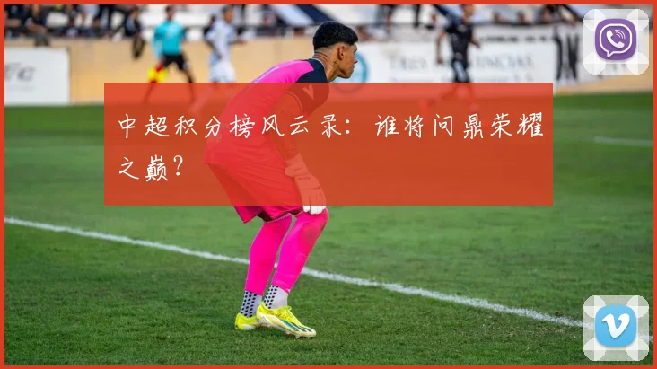 中超积分榜风云录:谁将问鼎荣耀之巅?