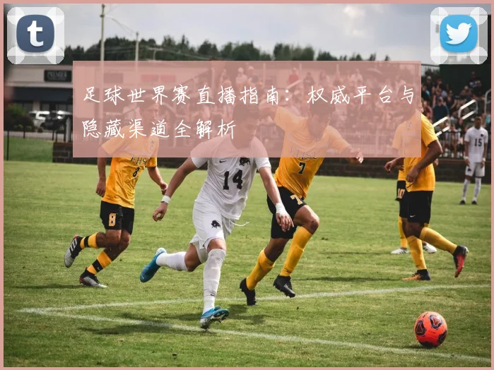 足球世界赛直播指南：权威平台与隐藏渠道全解析