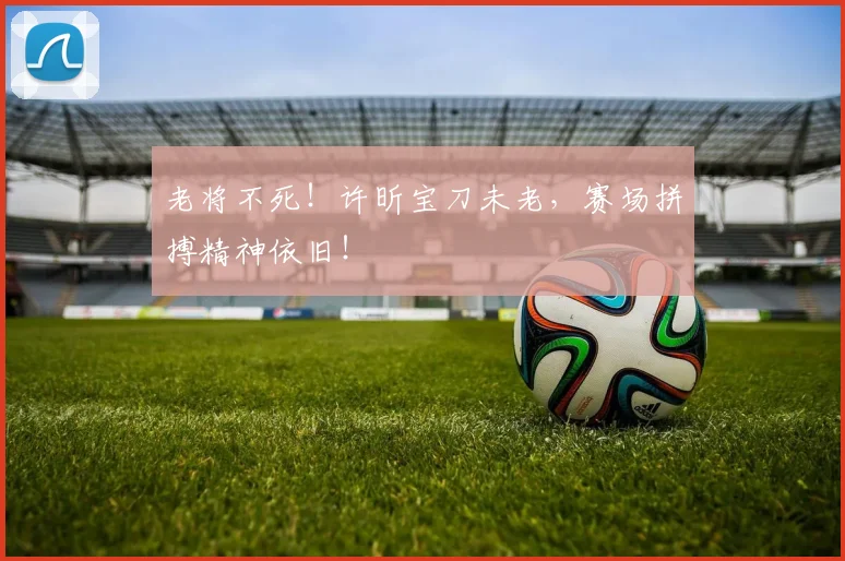 老将不死!许昕宝刀未老,赛场拼搏精神依旧!